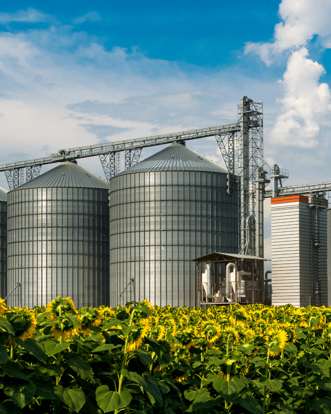 Grain Storage Facility