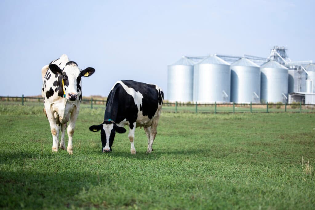 Sustainable Milling